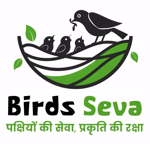 Bird seva 2