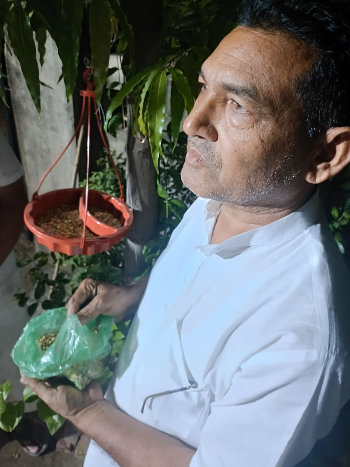 Bird seva 17