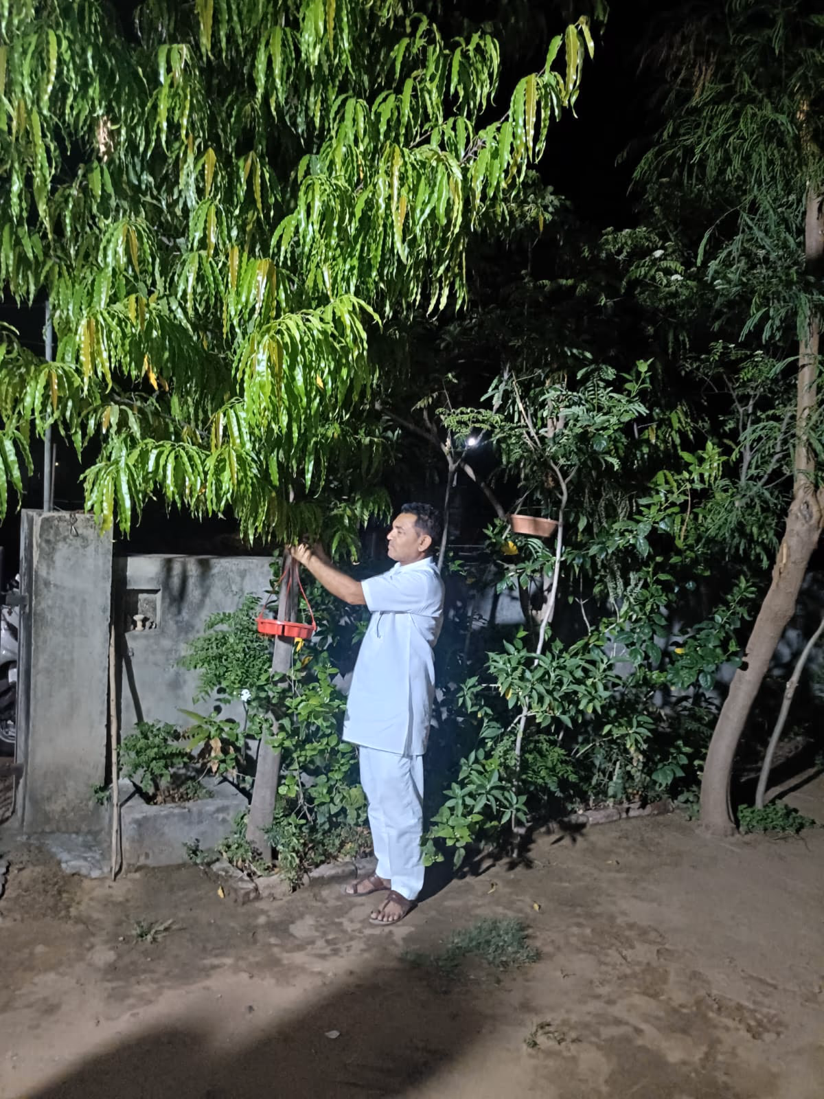 Bird seva 18