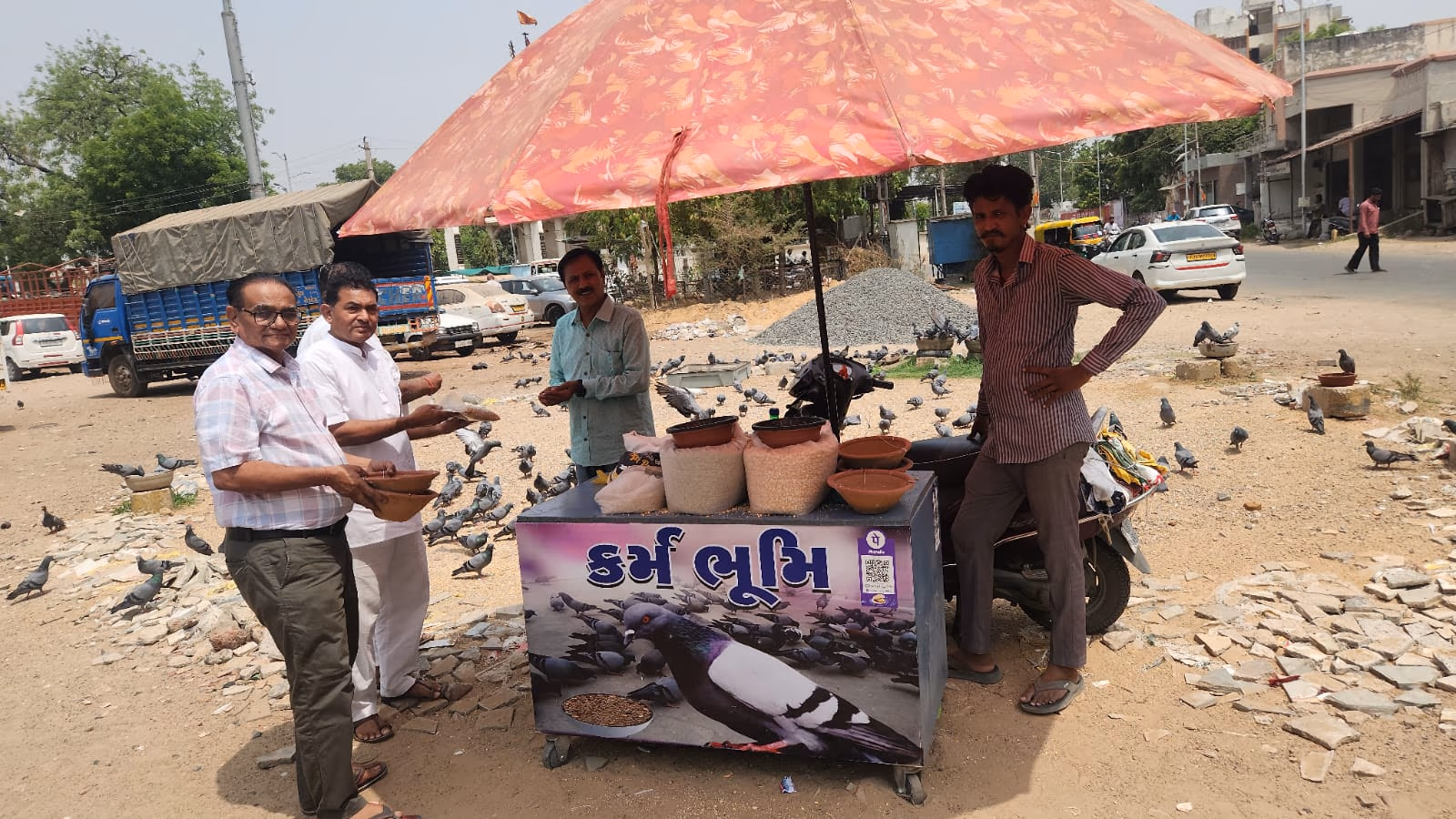 Bird seva 19