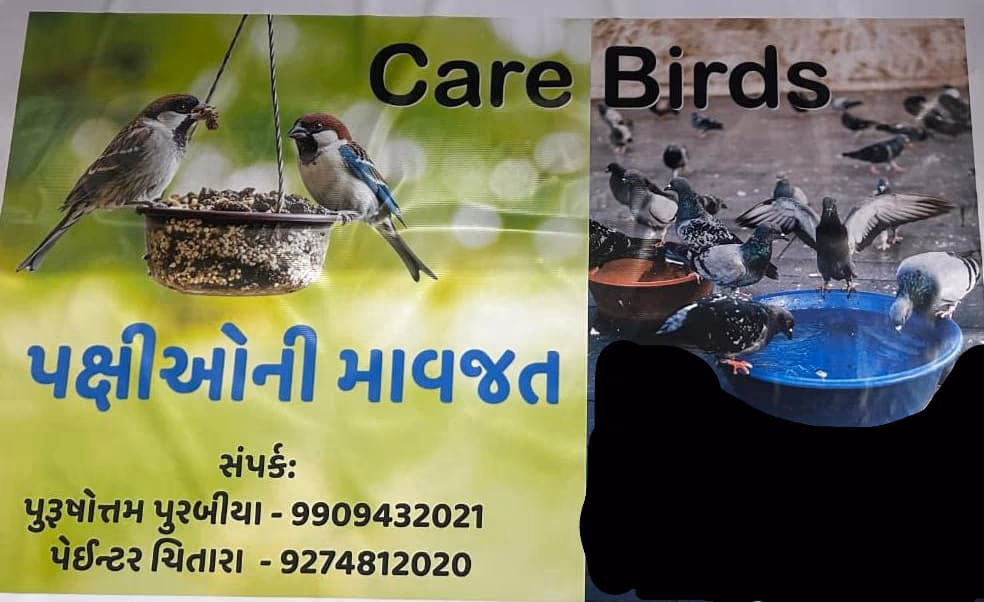Bird seva 29